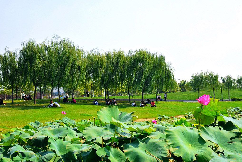 学院美景06