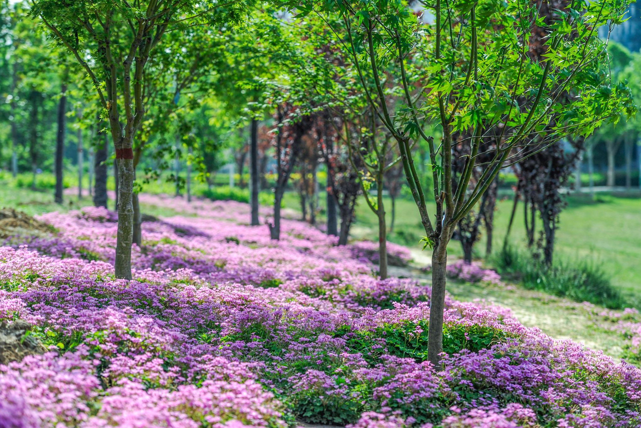 学院美景03